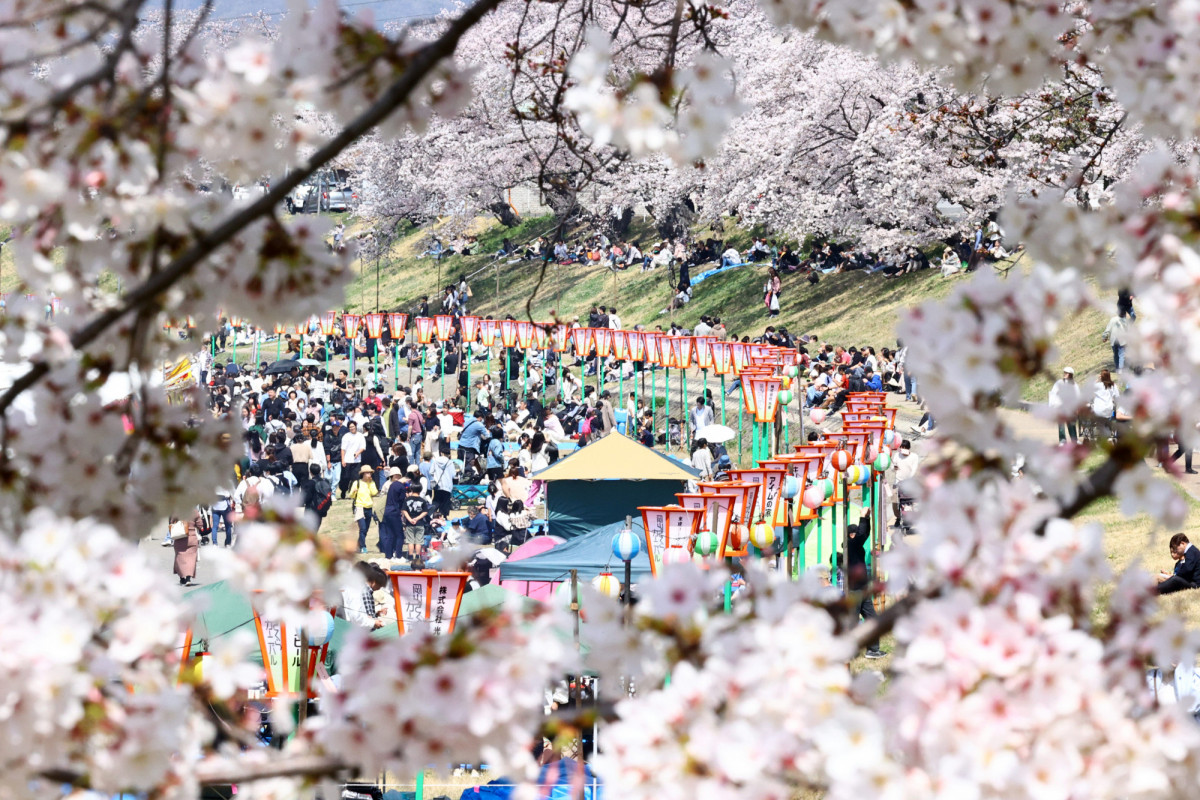 【2024年】岡山の春の祭典「岡山さくらカーニバル」とは？ 今年はいつ開催？ 屋台は出るの？ 見どころやアクセスなどもご紹介