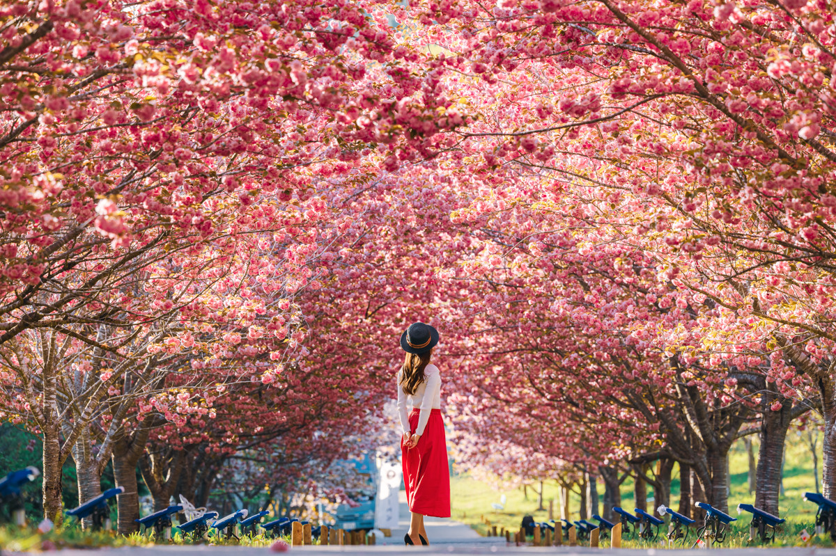 町屋 桜村眞 サイン入り cd 羅生ノ門 楽天市場】桜村眞の通販
