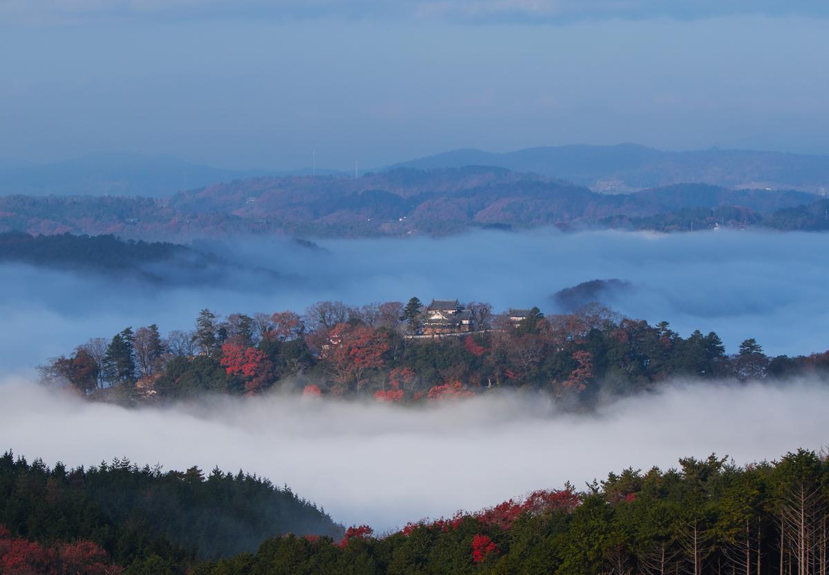 天空の山城 備中松山城 の魅力に迫る 旬のおすすめ 特集 岡山観光web 公式 岡山県の観光 旅行情報ならココ