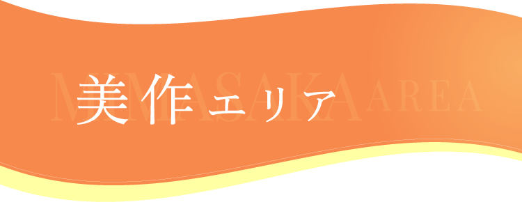 美作エリア