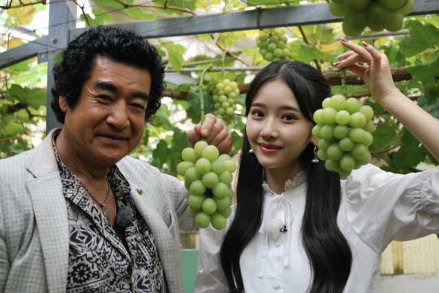 TSC・テレビせとうち「藤岡家の夏休み 岡山をぶらり 旬グルメ食べつくし旅」（7/30放送）