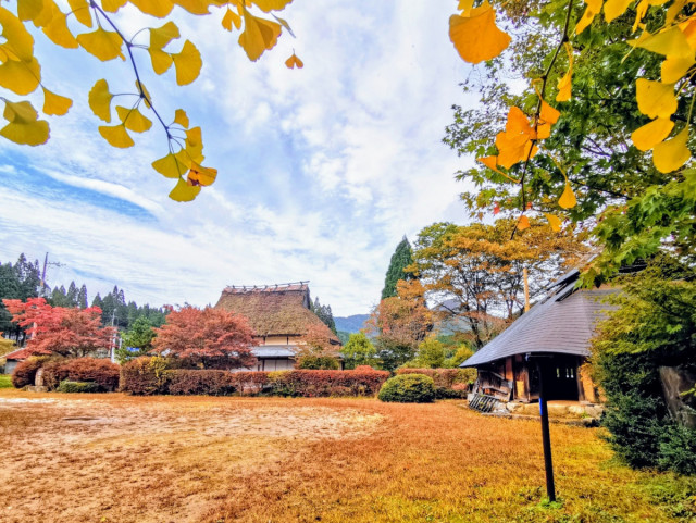 【岡山県民向け】アンケート　あなたがおすすめする 「岡山の紅葉スポット」を教えてください！
