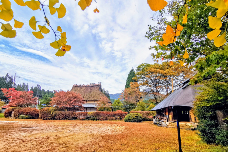 【岡山県民向け】アンケート　あなたがおすすめする 「岡山の紅葉スポット」を教えてください！