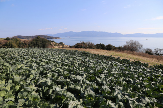 【放送情報】3月17日の「ザ！鉄腕！DASH!!」の「出張DASH村」は瀬戸内市前島！