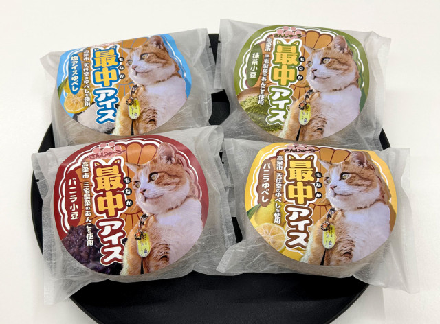 備中松山城の猫城主「さんじゅーろー」の最中アイスが完成！						