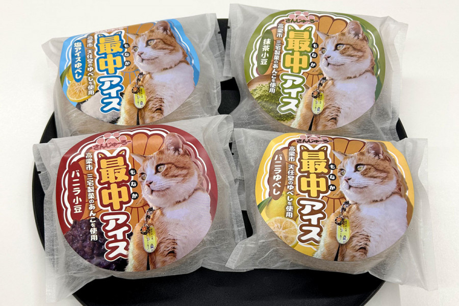 備中松山城の猫城主「さんじゅーろー」の最中アイスが完成！						