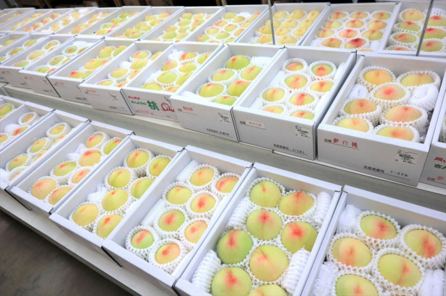 【岡山県民向け】アンケート　あなたがおすすめする「岡山県のいちおしの直売所」を教えてください！