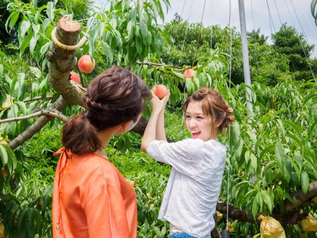 「王様のブランチ」で岡山県の観光スポットやグルメが紹介されます！