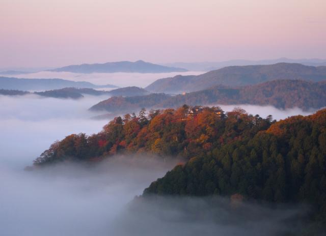 クチコミで選ぶ「日本の城ランキング2019」に備中松山城、津山城（鶴山公園）がランクイン