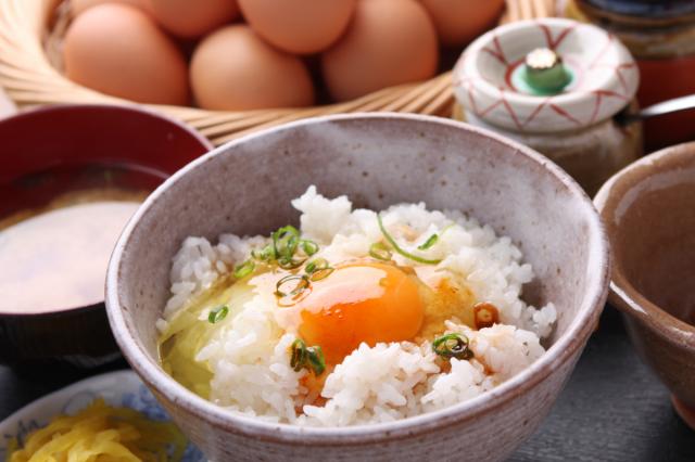 「ワールドビジネスサテライト」でたまごかけごはんのお店「食堂かめっち。」が紹介されます！
