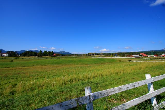 「マンハントMEETS国立公園蒜山」完成！！！
