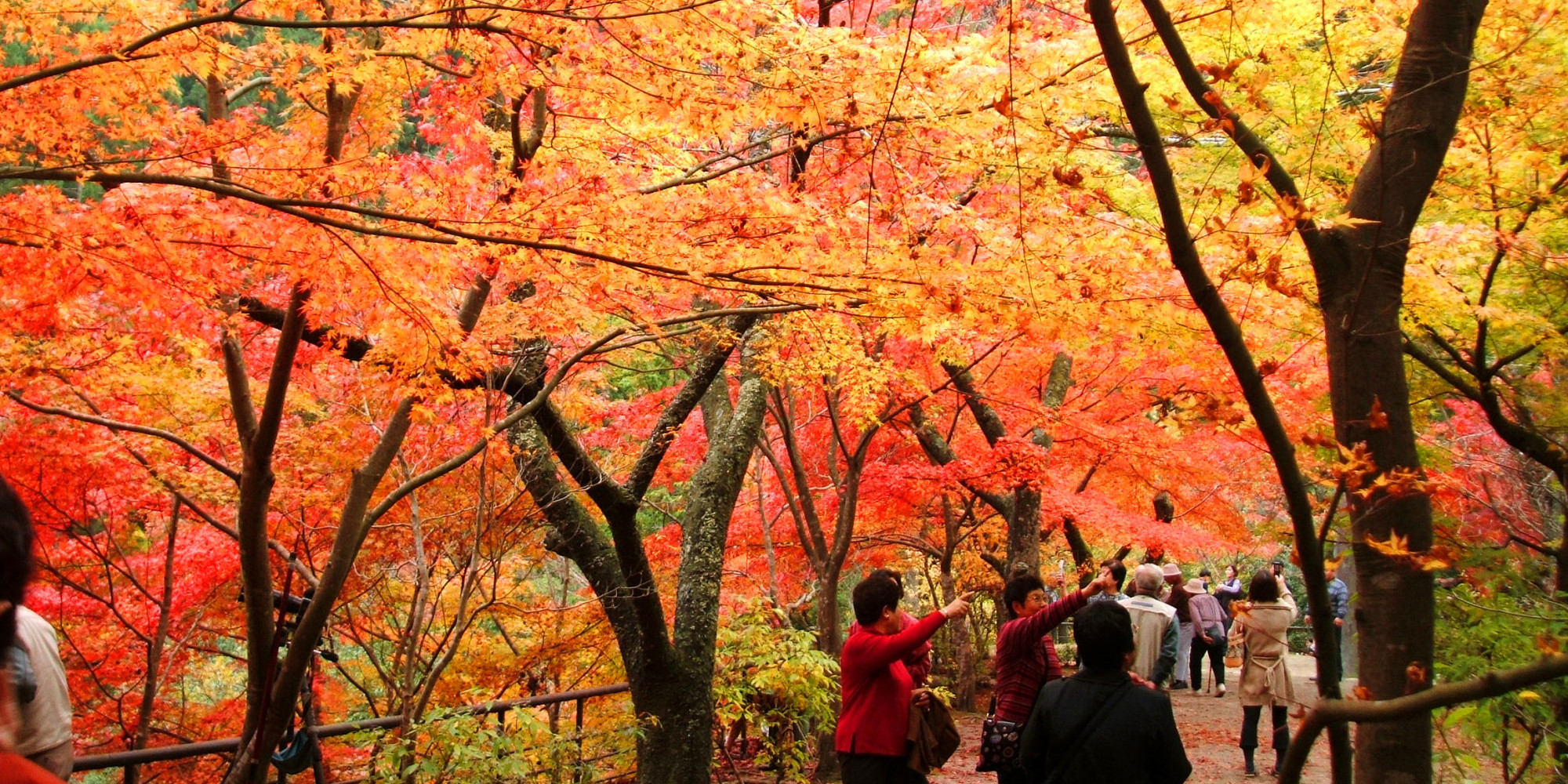 観光スポット 岡山観光web 公式 岡山県の観光 旅行情報ならココ