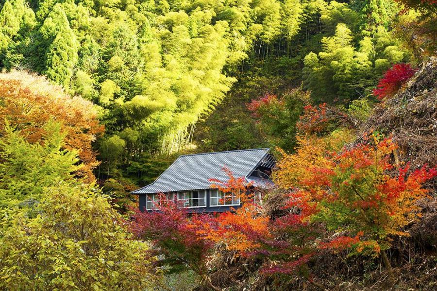 郷緑温泉　郷緑館