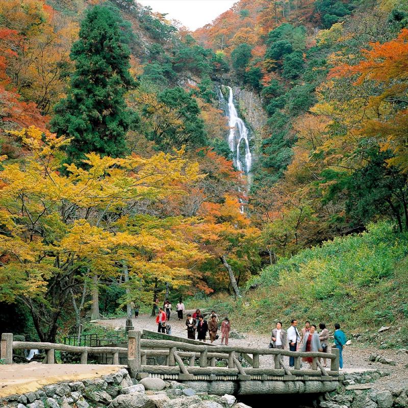 紅葉情報 岡山観光web 公式 岡山県の観光 旅行情報ならココ