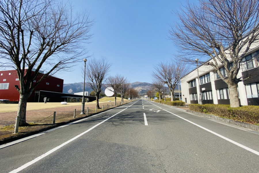 奈義町シンボルロード