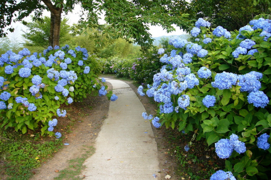 普門寺