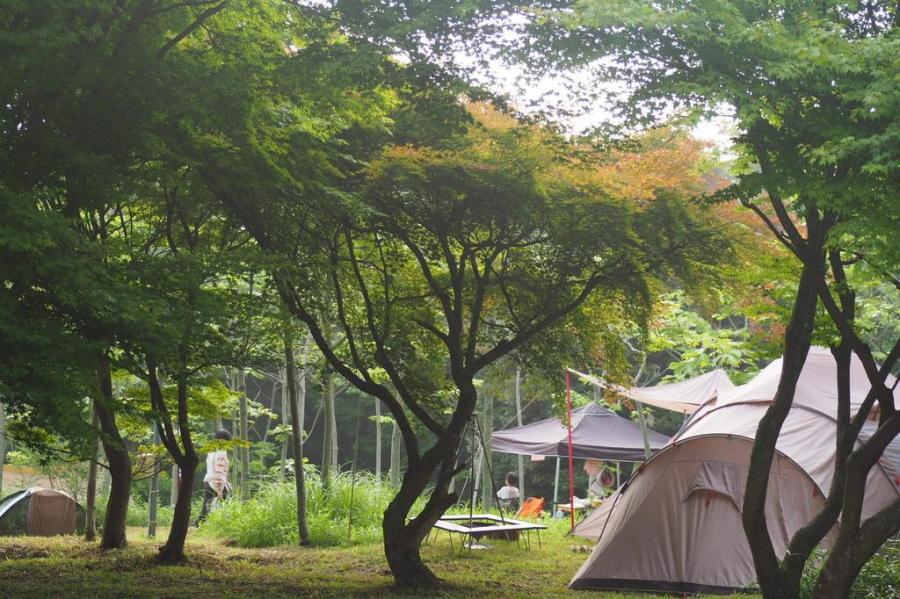 大芦高原キャンプ場