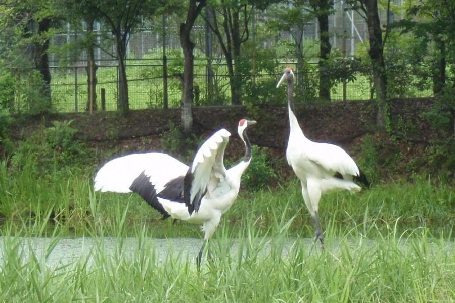 岡山県自然保護センター