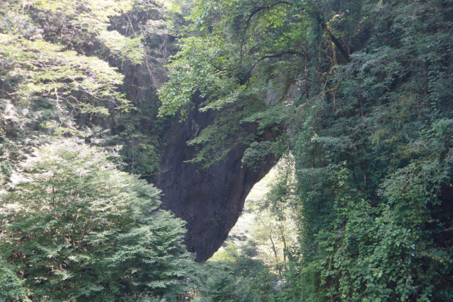 羅生門