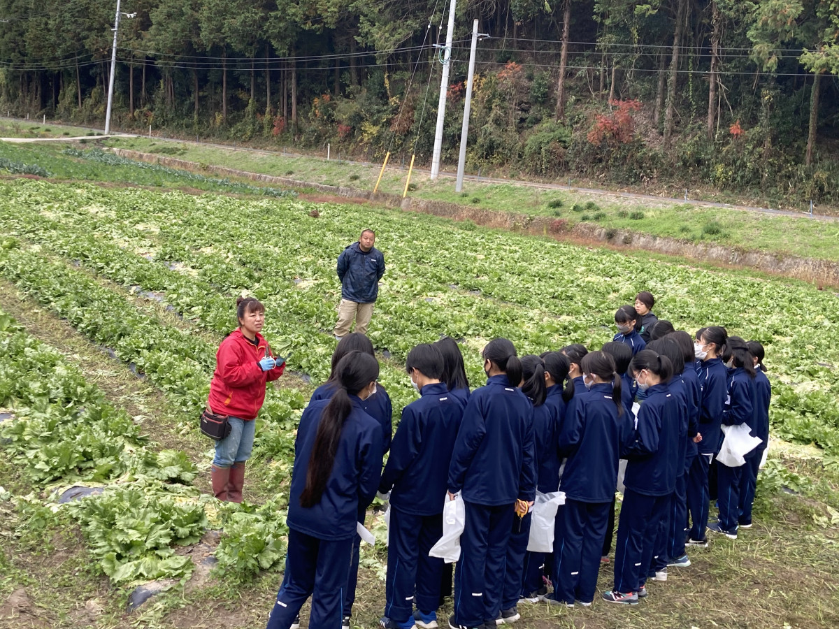 バイオ液肥使用の野菜収穫体験