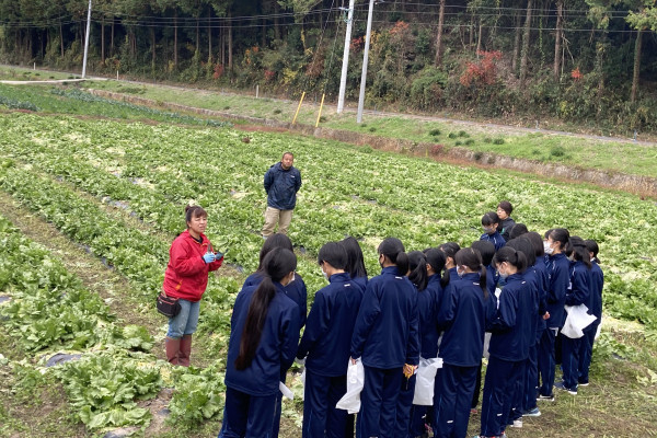 バイオ液肥使用の野菜収穫体験