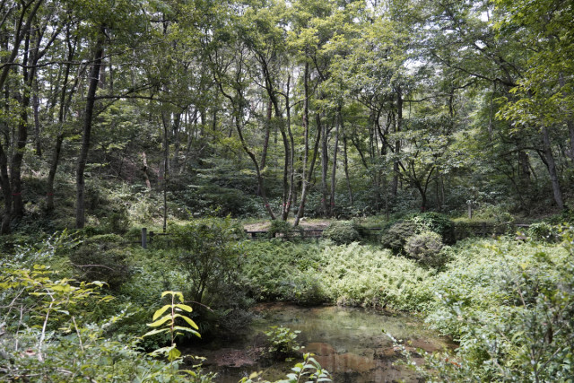 塩釜の冷泉