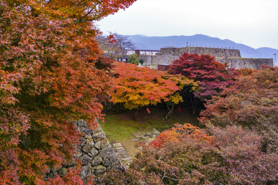 津山城（鶴山公園）