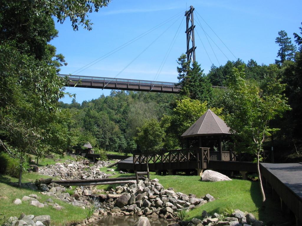 木橋と滝の流れ
