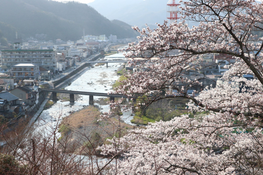 城山公園