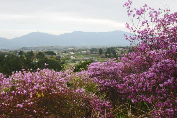 長尾山から那岐山