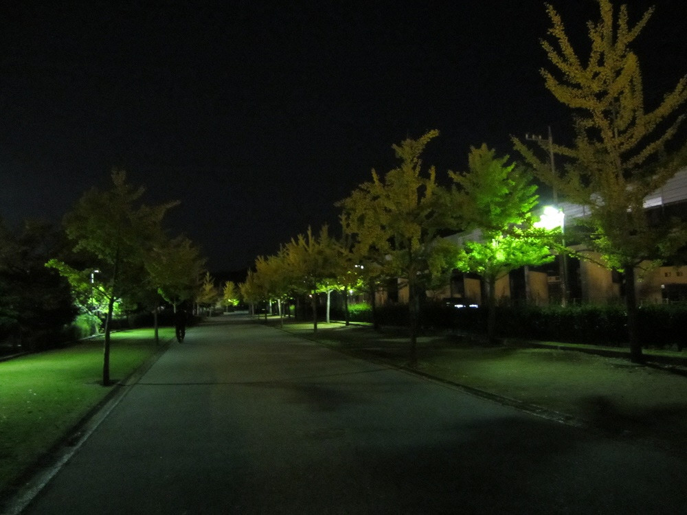 遠路夜景