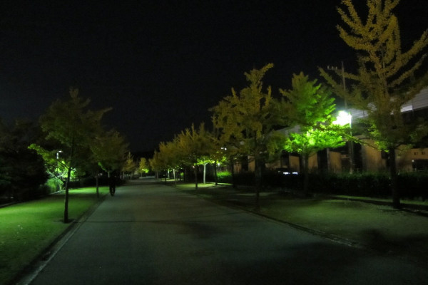 遠路夜景