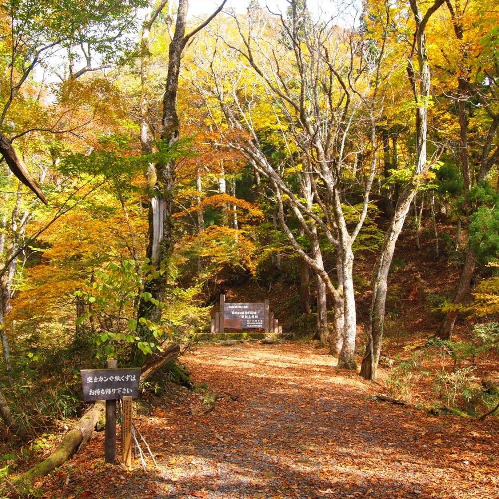 紅葉情報 岡山観光web 公式 岡山県の観光 旅行情報ならココ