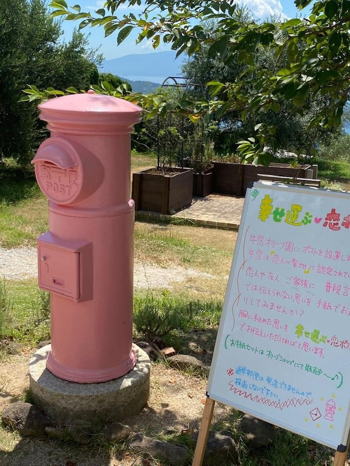 オリーブ園　ピンクポスト