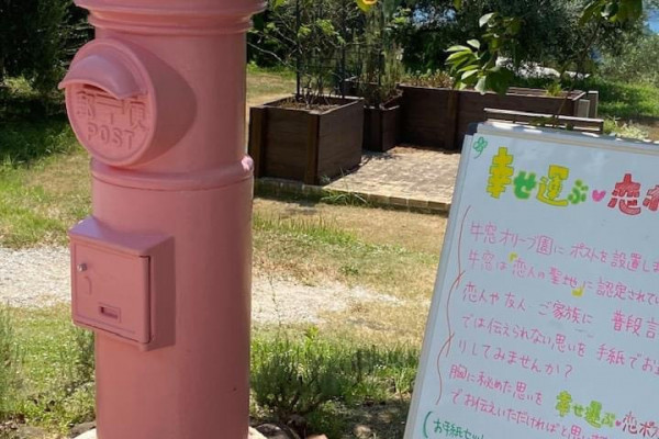 オリーブ園　ピンクポスト