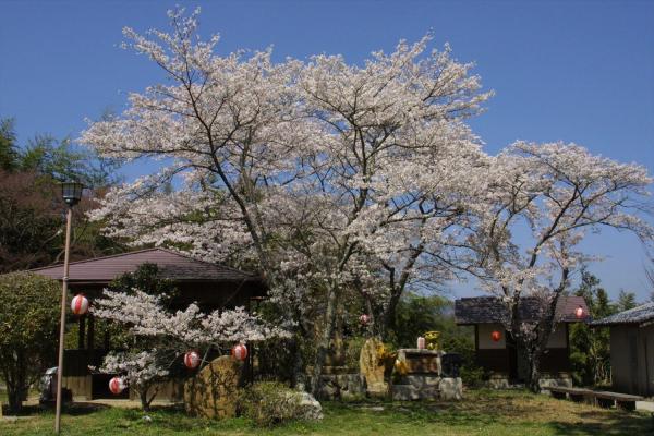 川柳公園・川柳の小径