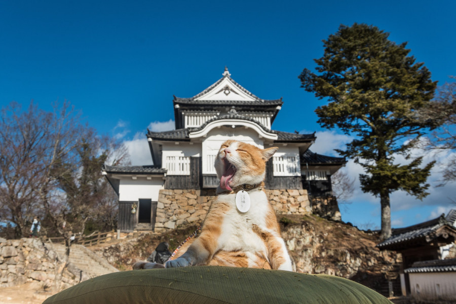 備中松山城