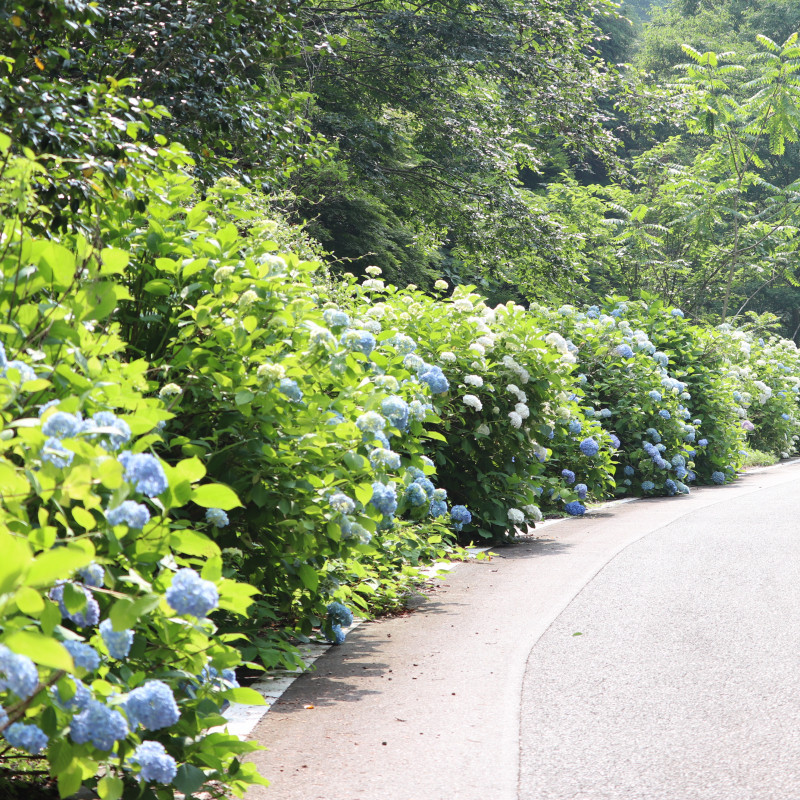 たけべの森公園