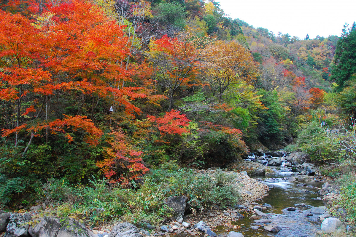 三室峡紅葉まつり