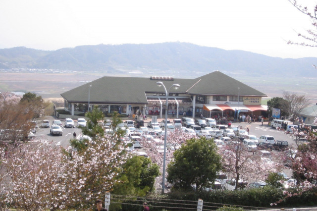 道の駅 一本松展望園