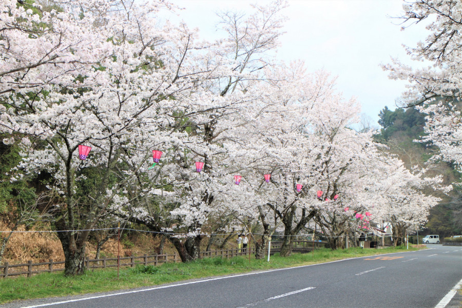 相原公園
