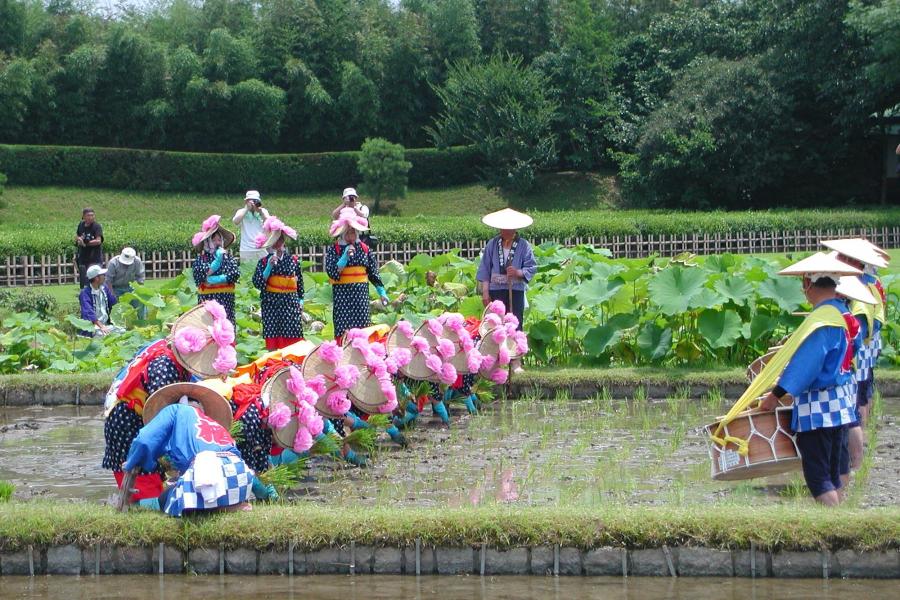 岡山後楽園　お田植え祭