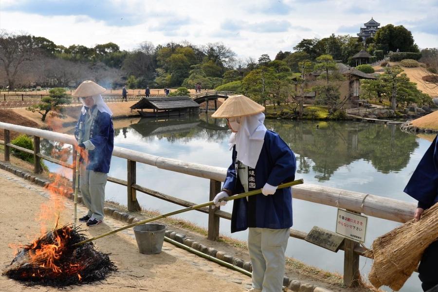 岡山後楽園　松の菰焼き