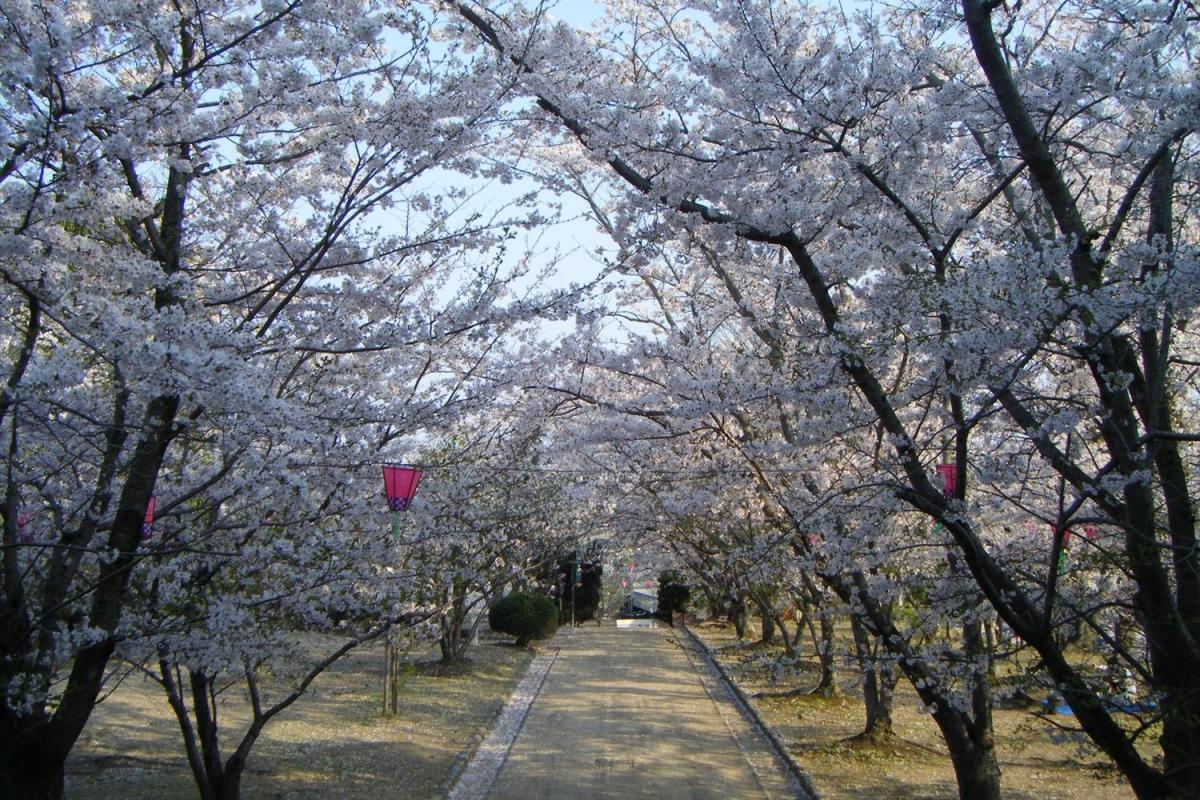 早島公園 観光スポット 岡山観光web 公式 岡山県の観光 旅行情報ならココ