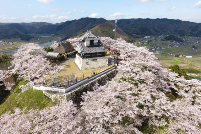 城山公園まつり