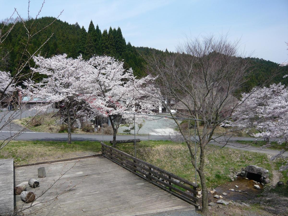 クリエイト菅谷の桜