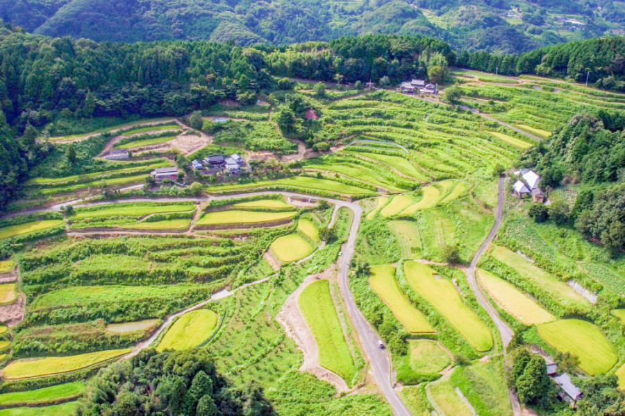 上籾棚田