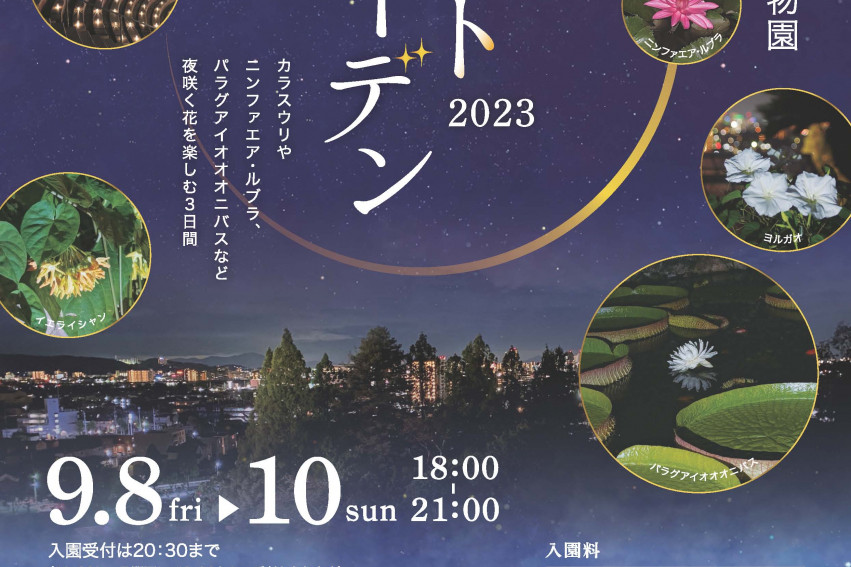 岡山市半田山植物園 ナイトガーデン2023