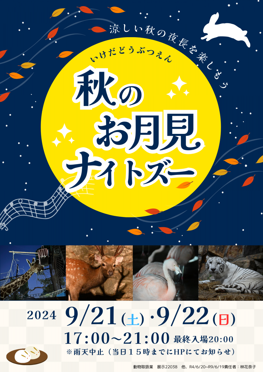 チラシ