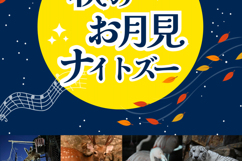 池田動物園　秋のお月見ナイトズー